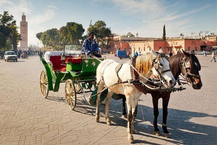 Marrakech Medina Tour With Private Licensed Guide (Private Tour)