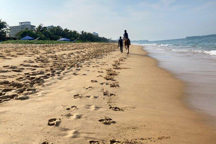Private Horse Riding in Mount Lavinia