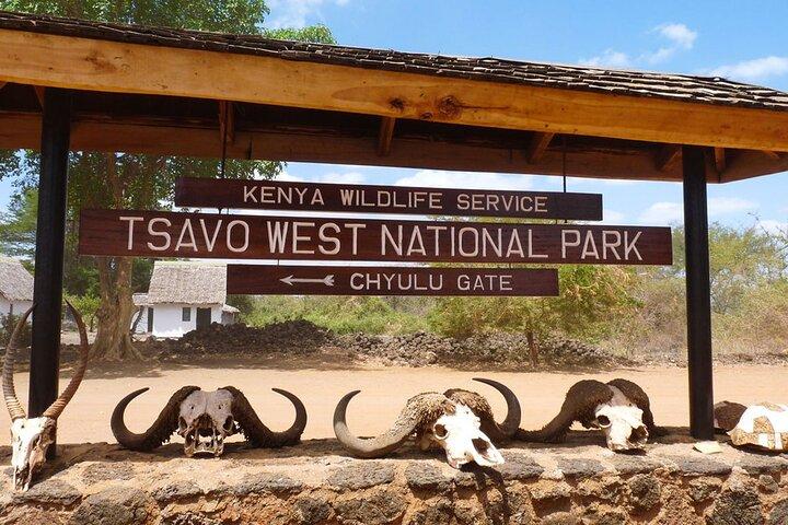 Private Tour of Tsavo East National Park from Mombasa