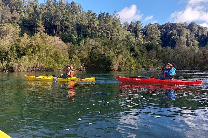 Tour Guiado en Kayak por Rio Maullin / Medío dia en Pto. Varas