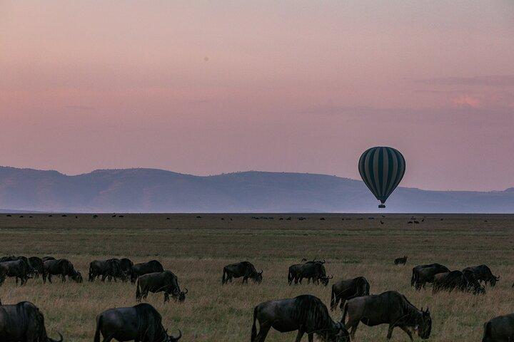 Masai Mara 3 Days 2 Nights