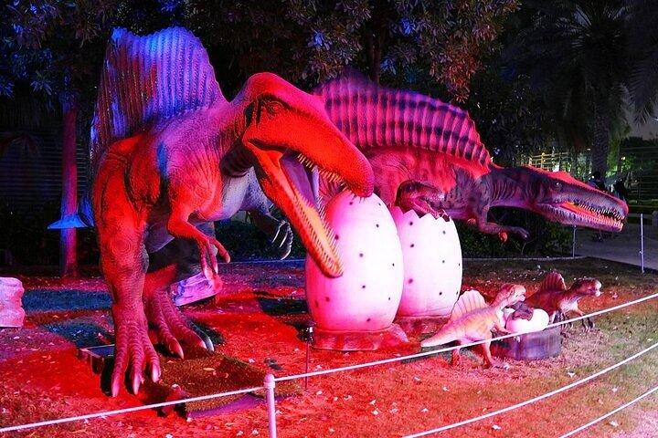 Visit Dubai Garden Glow with Optional Pick up and Drop off