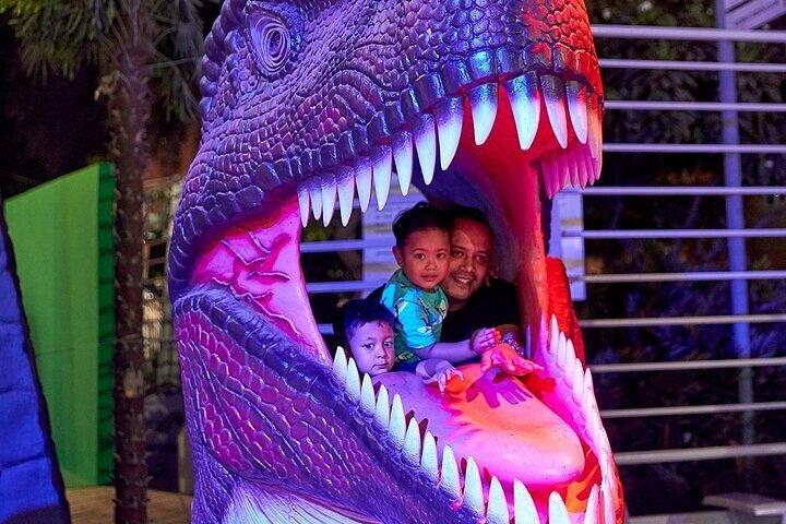 Visit Dubai Garden Glow with Optional Pick up and Drop off