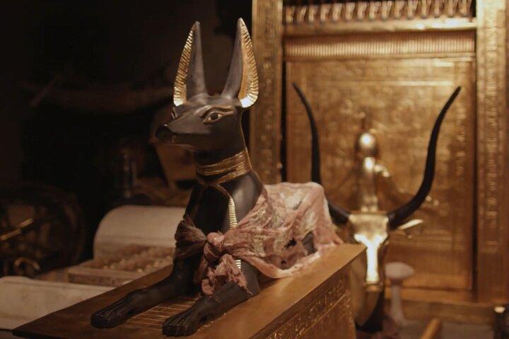 All Inclusive The Egyptian Museum, and Saladin Citadel with Lunch
