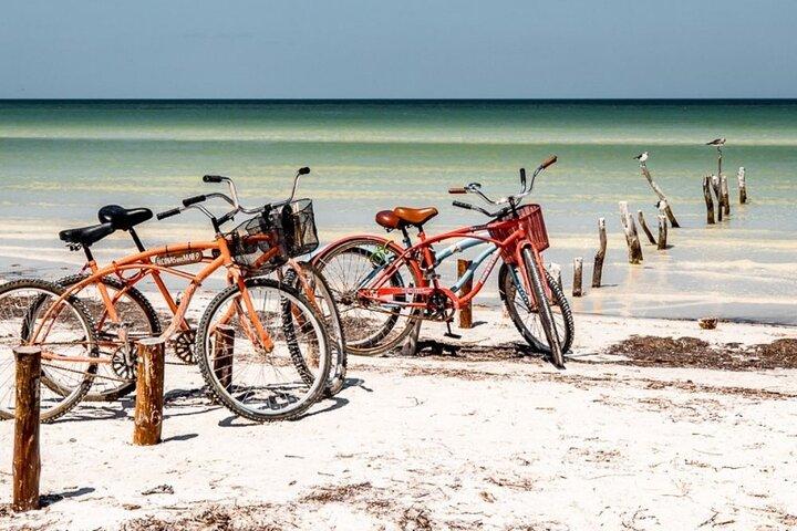 Holbox Island Deluxe Tour, all-day and complete excursion!