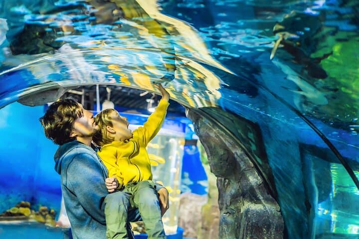 Dubai Aquarium & Underwater Zoo Entrance Ticket