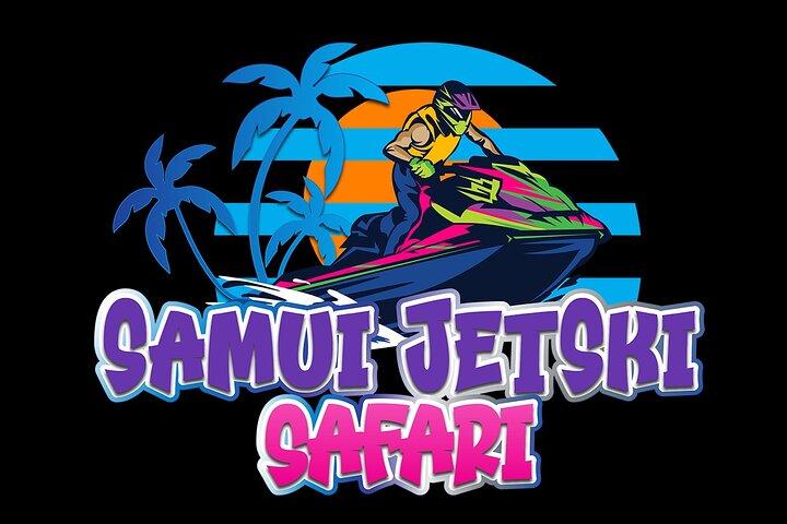 2.5 hours Pig Island-Virgin Islands & Snorkeling Jet Ski Safari
