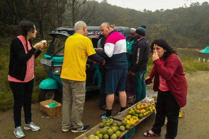 7 Days Private Culture and Culinary Tour