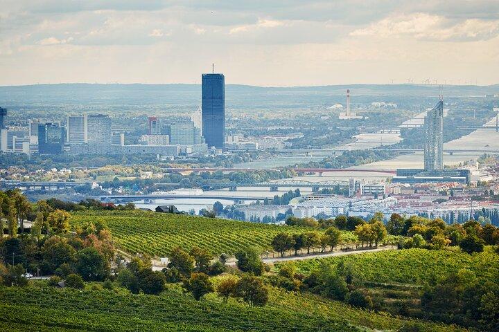Vienna Wine Experience