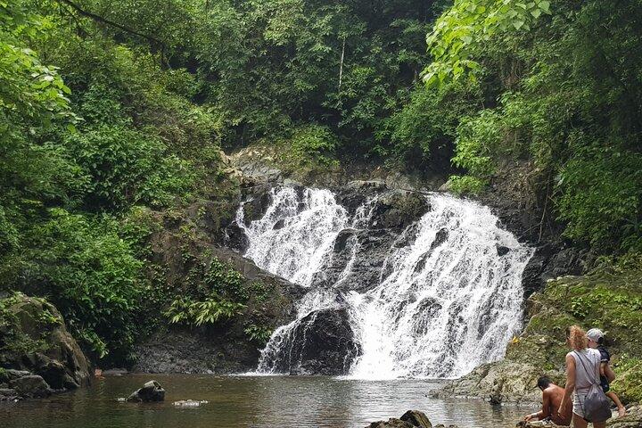6-Hour Culture and Nature Tour in Embera Tribe - All Included