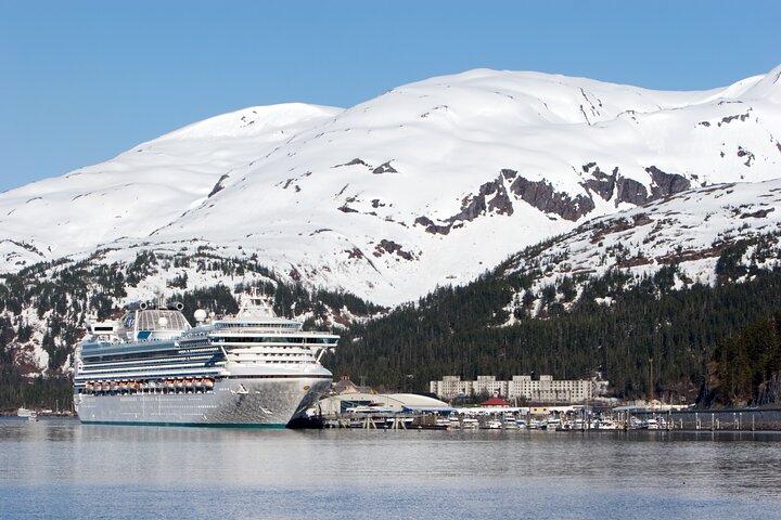 Whittier to Anchorage Cruise Transfer & Wildlife Tour