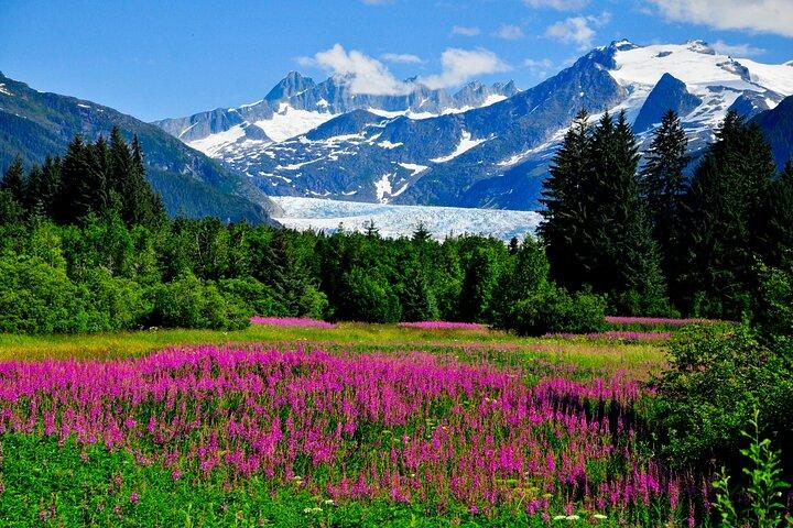 Whittier to Anchorage Cruise Transfer & Wildlife Tour