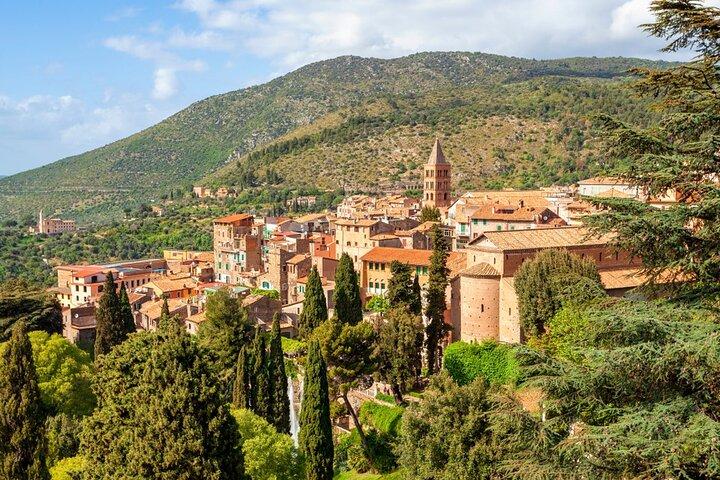 Frascati and Wine Tasting : private tour from Rome