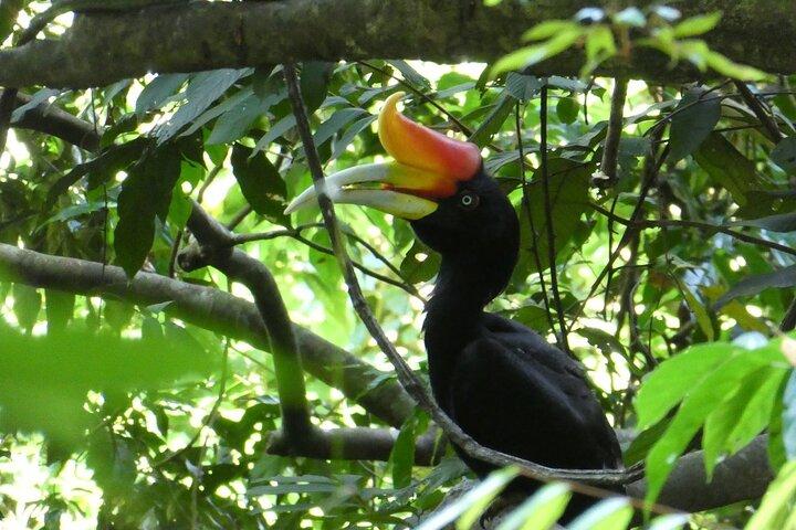 Bukit lawang 2 Day 1 Night with camping