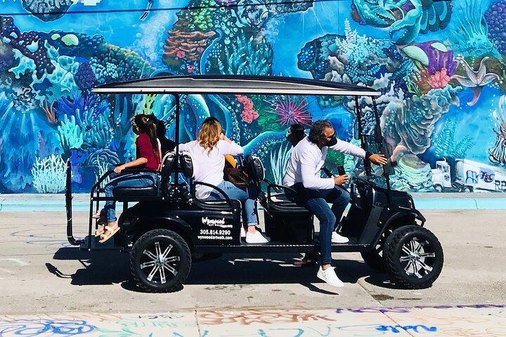 Small-Group Brewery Golf Cart Tour of Wynwood with a Local Guide