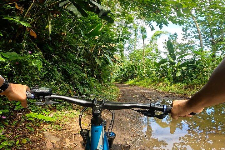 Tahiti excursion adventure circuit MTB MTB E-Bike private valley