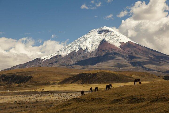 Cotopaxi Volcano, from Quito, PRIVATE Tour, includes LUNCH