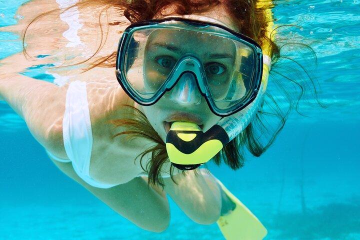 Boat Dive and Snorkeling Experience in Aqaba