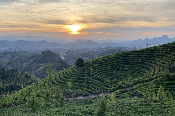 Half-day Tour: Largest Tea Plantation & Amazing Xianggong Hill