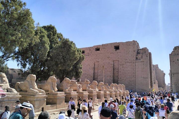 10 Day Egypt wonders GEM pyramid Nile and Hurghada Flight