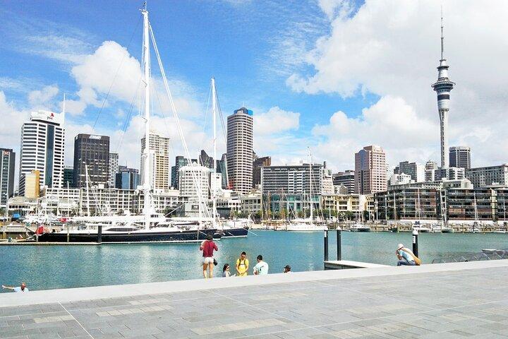 Four Hour Private Auckland Sightseeing Tour