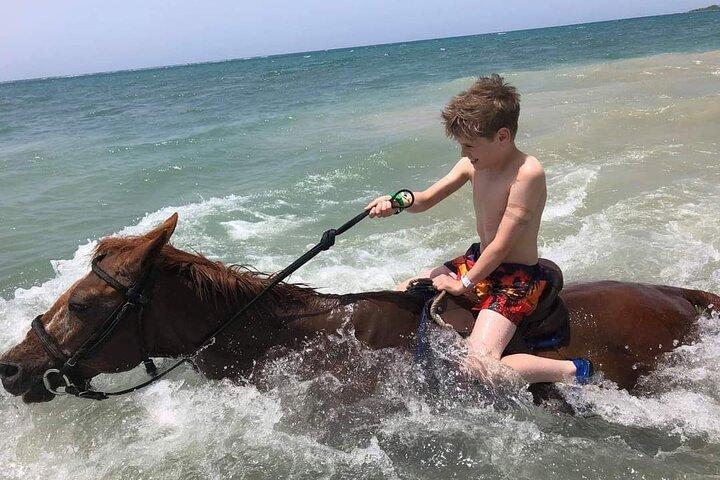 Private Bamboo Rafting and Horseback Riding from Ocho Rios
