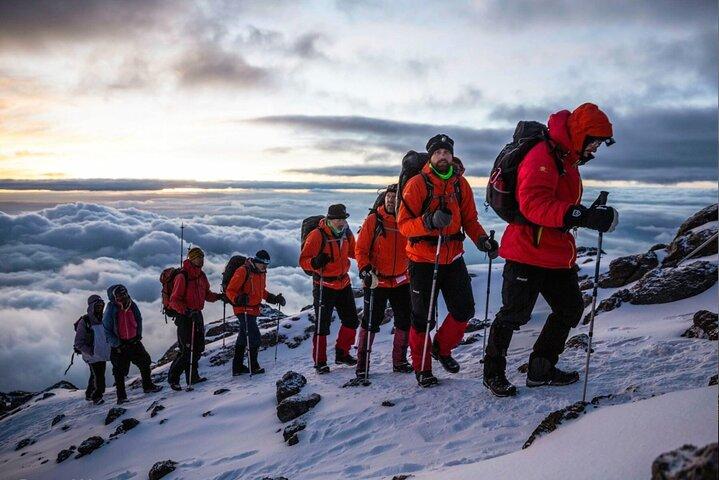 Full Day Private Hiking Tour to Kilimanjaro Mountain
