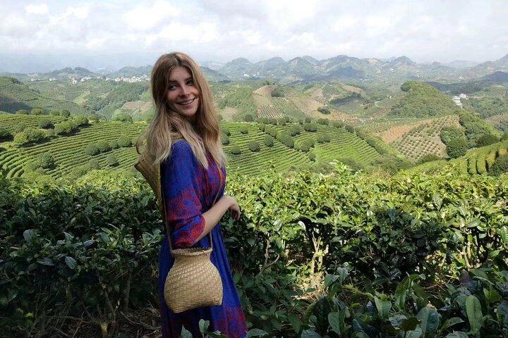 Half-day Tour: Largest Tea Plantation & Amazing Xianggong Hill