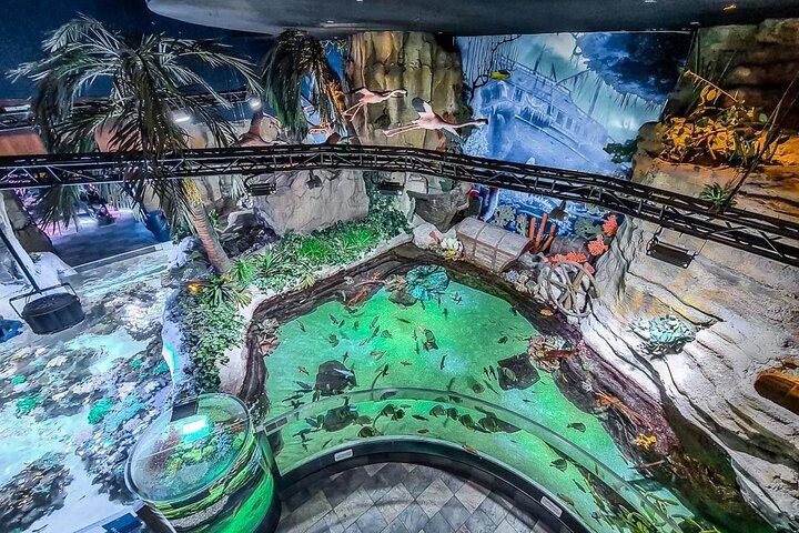 Dubai Mall Aquarium &Underwater Zoo Tickets with Private transfer