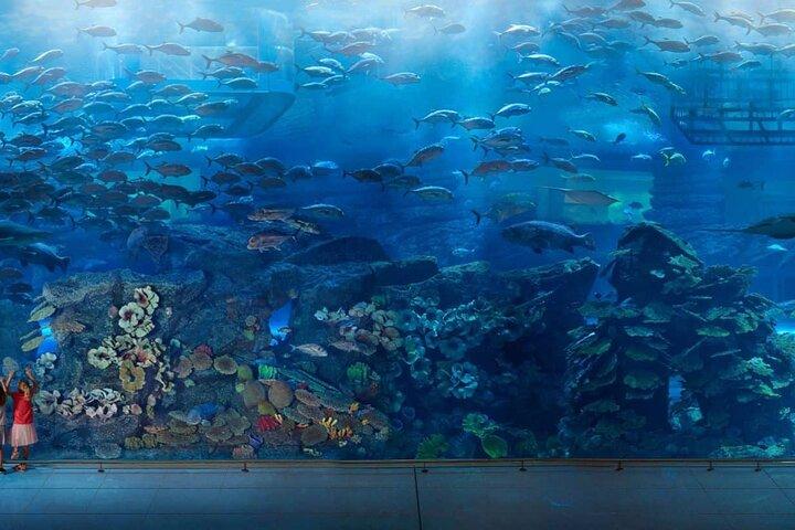 Dubai Mall Aquarium &Underwater Zoo Tickets with Private transfer
