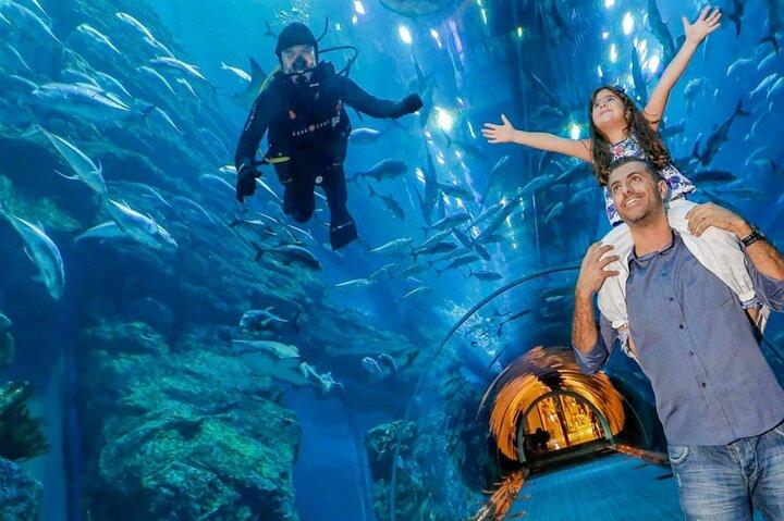 Dubai Mall Aquarium &Underwater Zoo Tickets with Private transfer