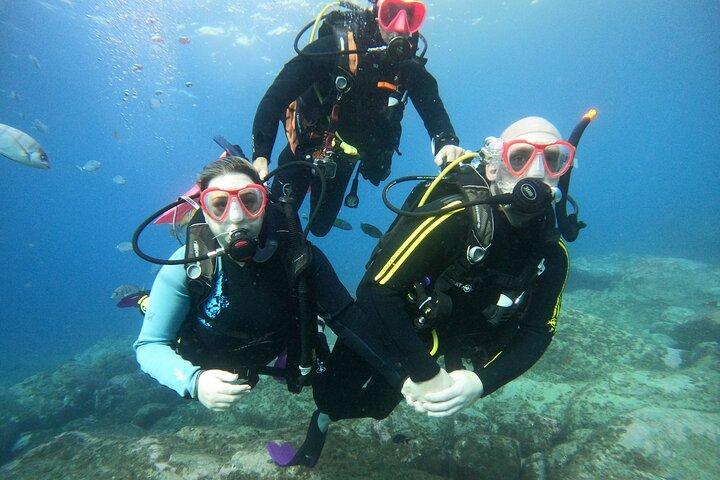 Tenerife First Time Scuba Dive – Turtle Habitat, Small Groups