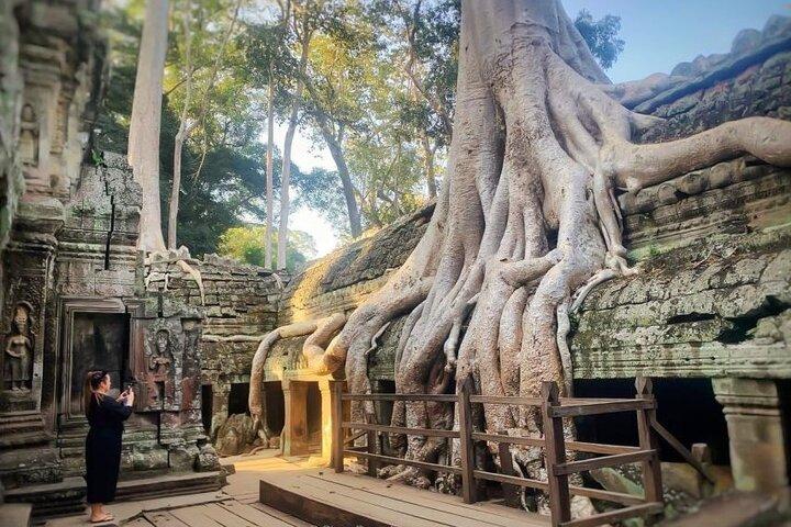 Angkor Wat Sunrise tour with Small - Group and Guide tours