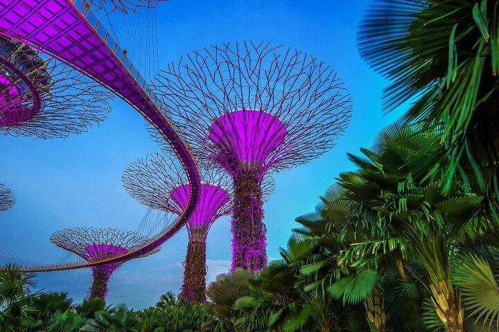 Singapore Gardens by the Bay Package Combo