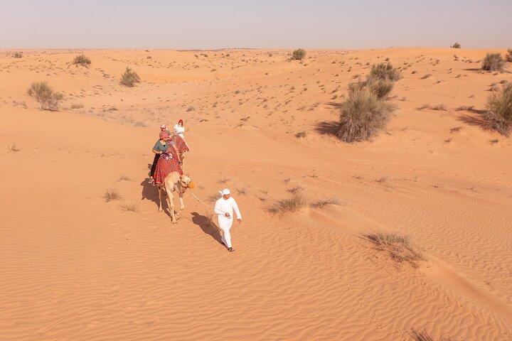Morning Safari with Camel Ride and Quad Bike Single Seater