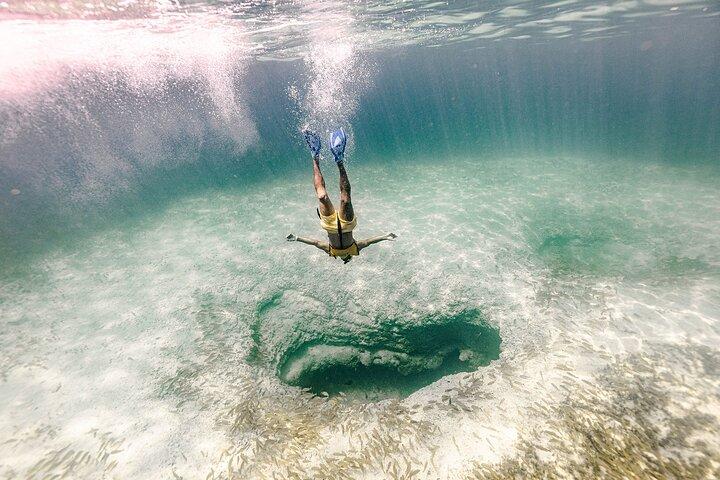 With Transport, Shipwreck, Cenote, and Reef and Turtles Included