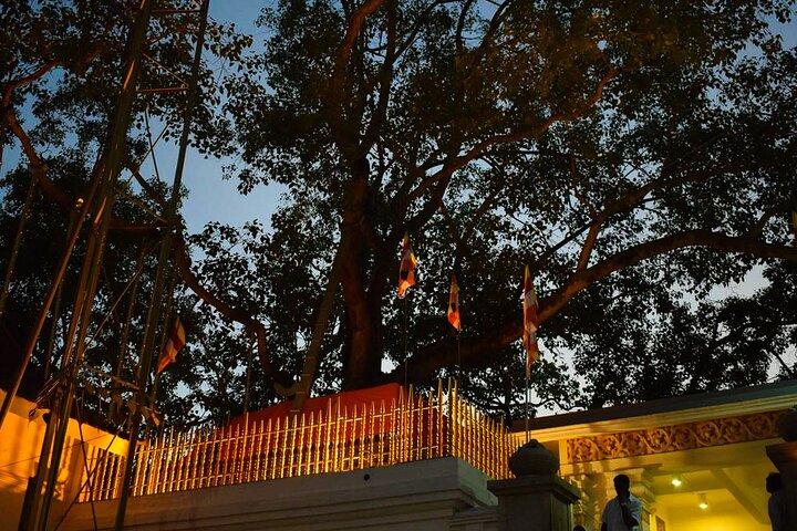 Anuradhapura & Mihintale Private Day Tour From Trincomalee