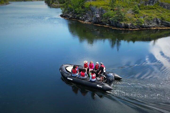 Zodiac Coastal Tour with Naturalist Guide: Lunenburg