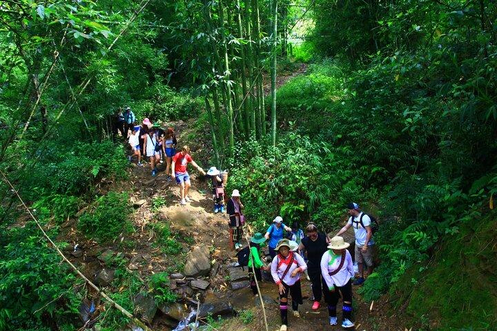 Sapa Hiking Tour: 2-Day Trek & Ethnic Homestay