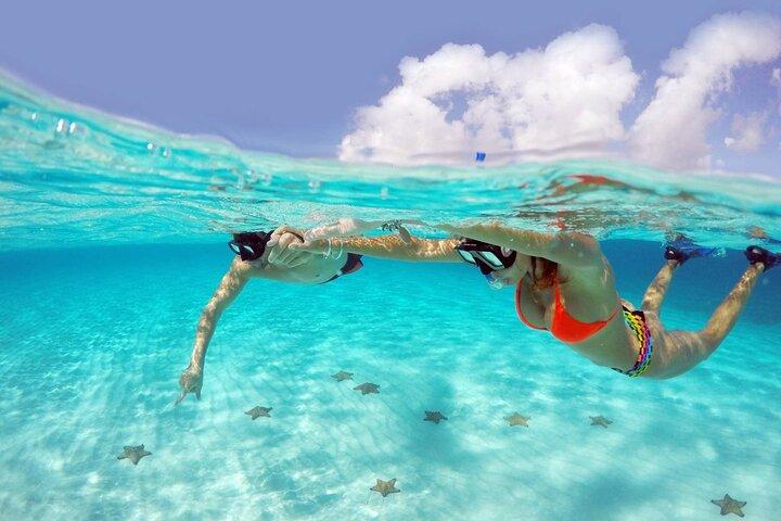 Cozumel Snorkeling Tour: Palancar, Columbia and El Cielo Reefs