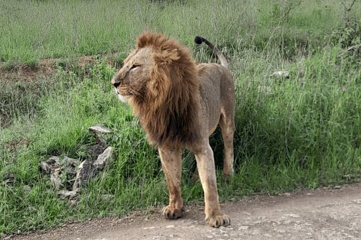 Masai Mara National Reserve Day trip From Nairobi.