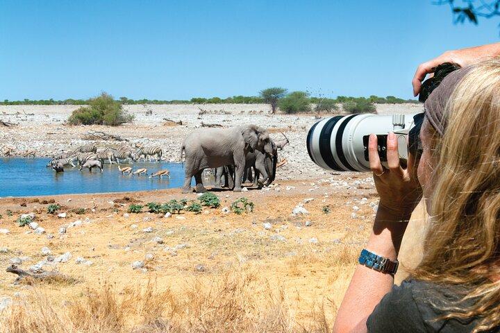 Full Day Ultimate Tour in Exploring the Wonders of Lake Manyara