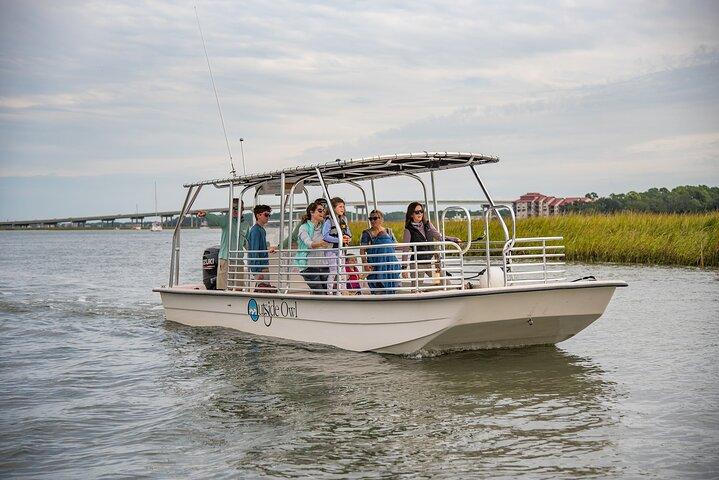 90 Minute Hilton Head Dolphin and Nature Cruise