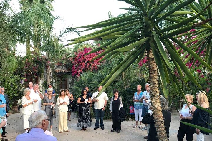 Mods & Icons Tour of Palm Springs