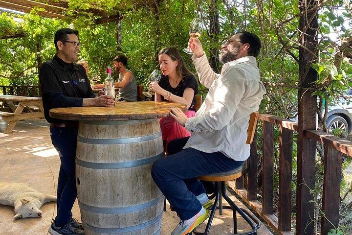 Private Tour in Guadalupe Valley, Vine Yards & Wine Route ENS MX