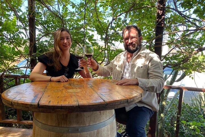 Private Tour in Guadalupe Valley, Vine Yards & Wine Route ENS MX
