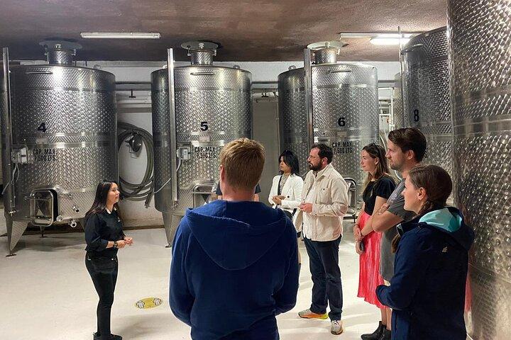 Private Tour in Guadalupe Valley, Vine Yards & Wine Route ENS MX