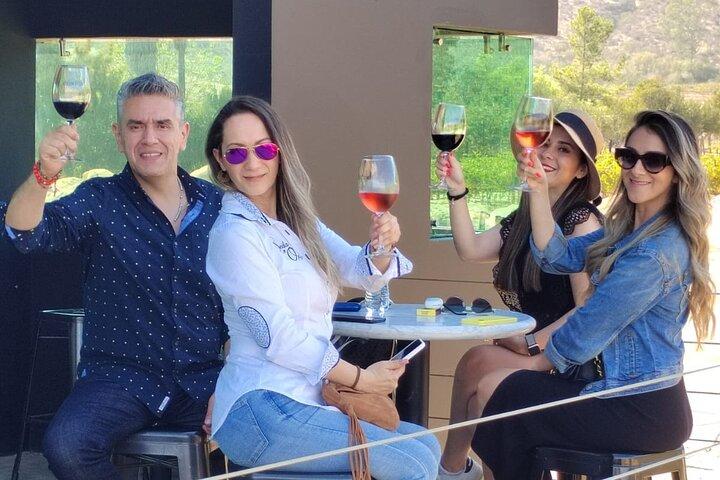 Private Tour in Guadalupe Valley, Vine Yards & Wine Route ENS MX