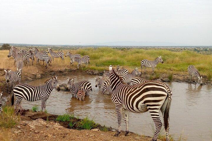 Private 2 Nights and 3 Days Amboseli Tour