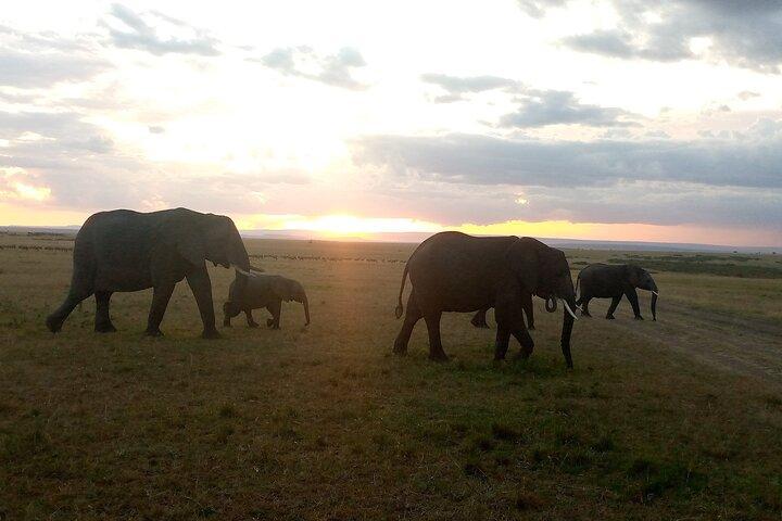 Private 2 Nights and 3 Days Amboseli Tour
